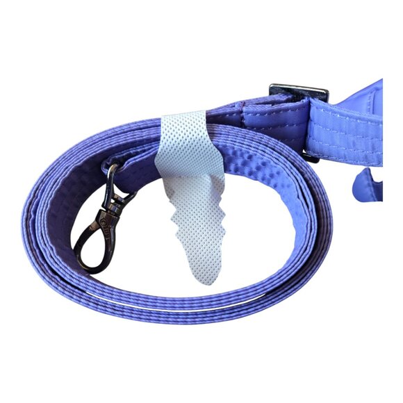 Disney EPCOT 2025 Festival of the Arts Figment Lug Ranger Crossbody Bag - NWT - Picture 11 of 15